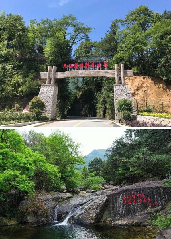 园十州 仙草焕新韵 产业映丹心  ——九仙尊以非遗匠心绘就乡村振兴新画卷_大皖新闻 | 安徽网