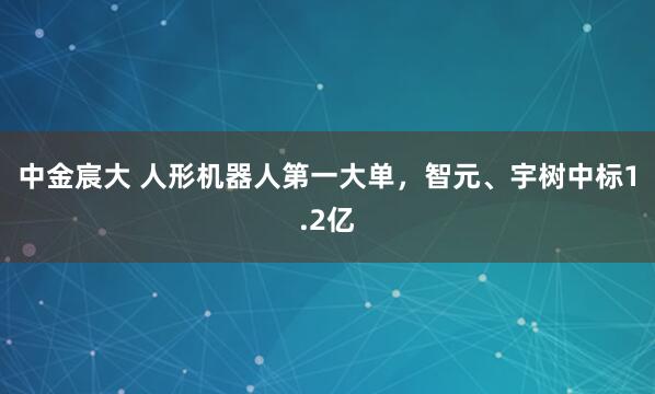 中金宸大 人形机器人第一大单，智元、宇树中标1.2亿