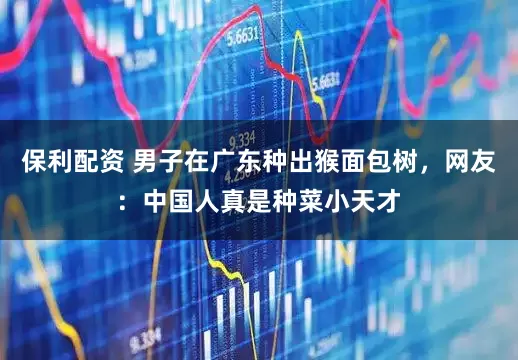 保利配资 男子在广东种出猴面包树，网友：中国人真是种菜小天才