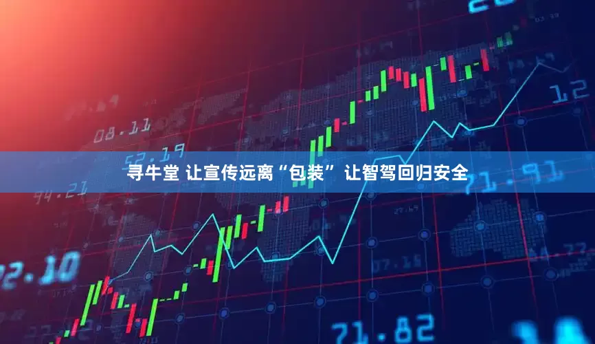 寻牛堂 让宣传远离“包装” 让智驾回归安全