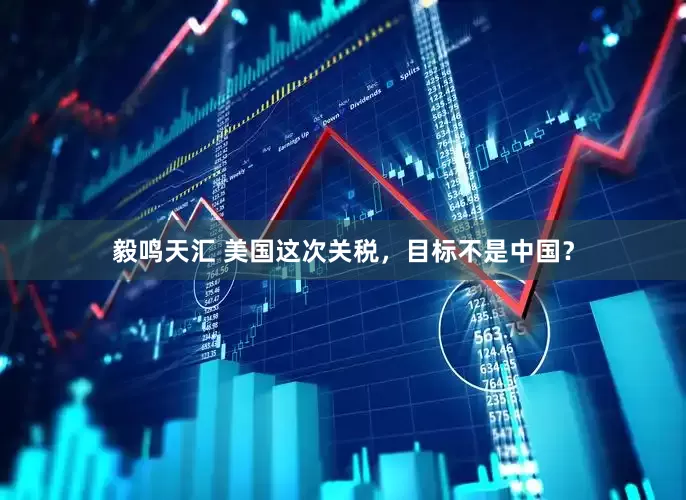 毅鸣天汇 美国这次关税，目标不是中国？